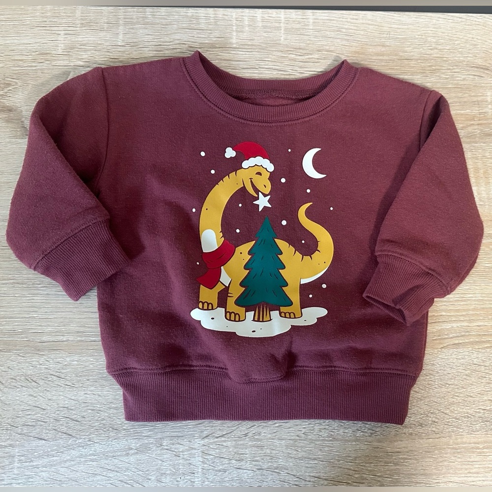 Baby Holiday Sweatshirt